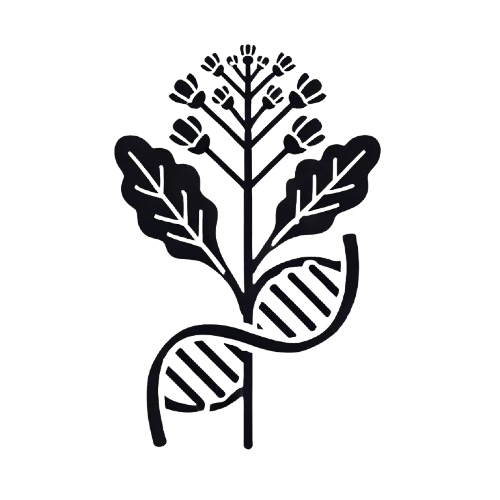Brassica Genetics