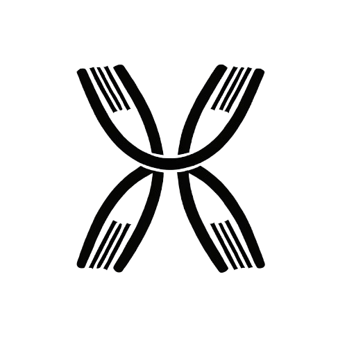 Ploidy and Duplication